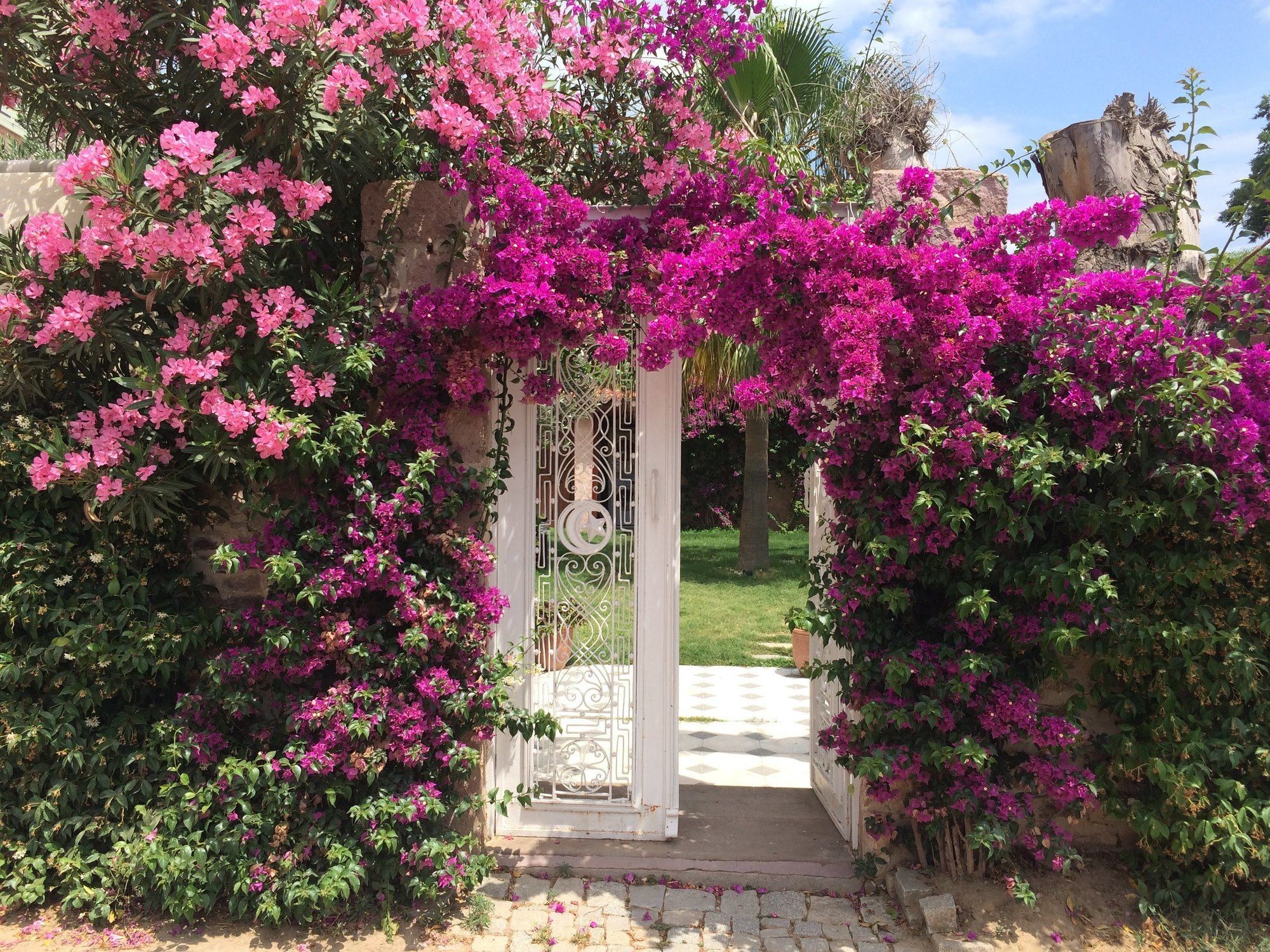 Cunda Has Konak Butik Otel Ayvalı المظهر الخارجي الصورة